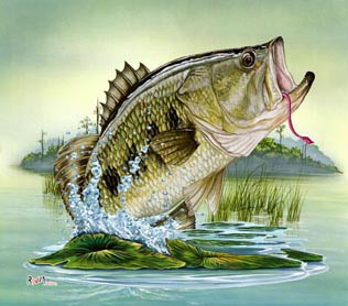 bass tournament tile art awards