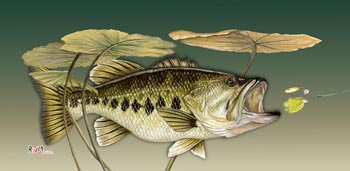 bass tournament tile art awards