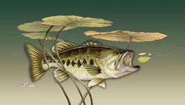 bass tournament tile art awards